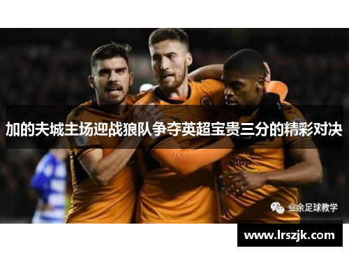 加的夫城主场迎战狼队争夺英超宝贵三分的精彩对决